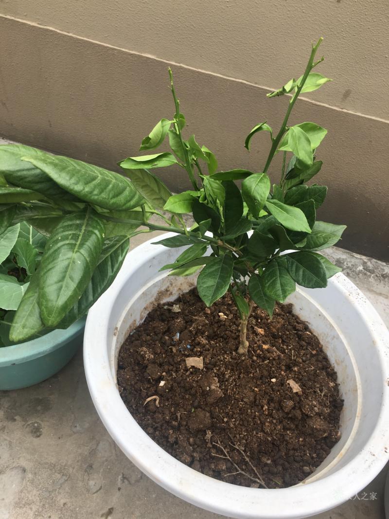9体育-的简单介绍